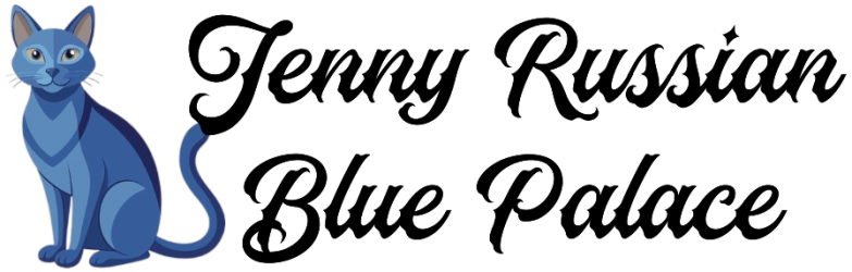 Premium Kittens Home